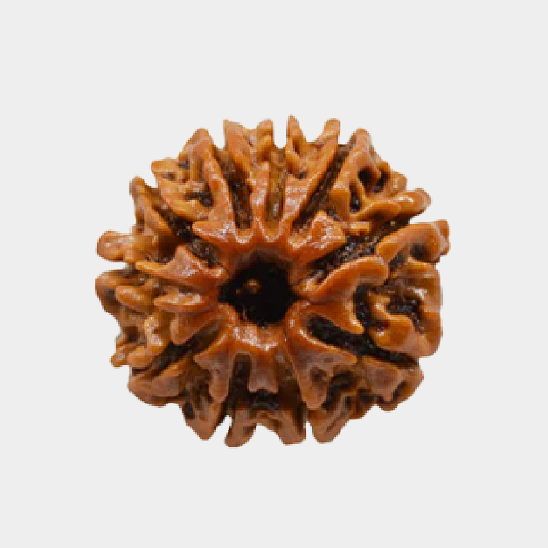 10 Mukhi