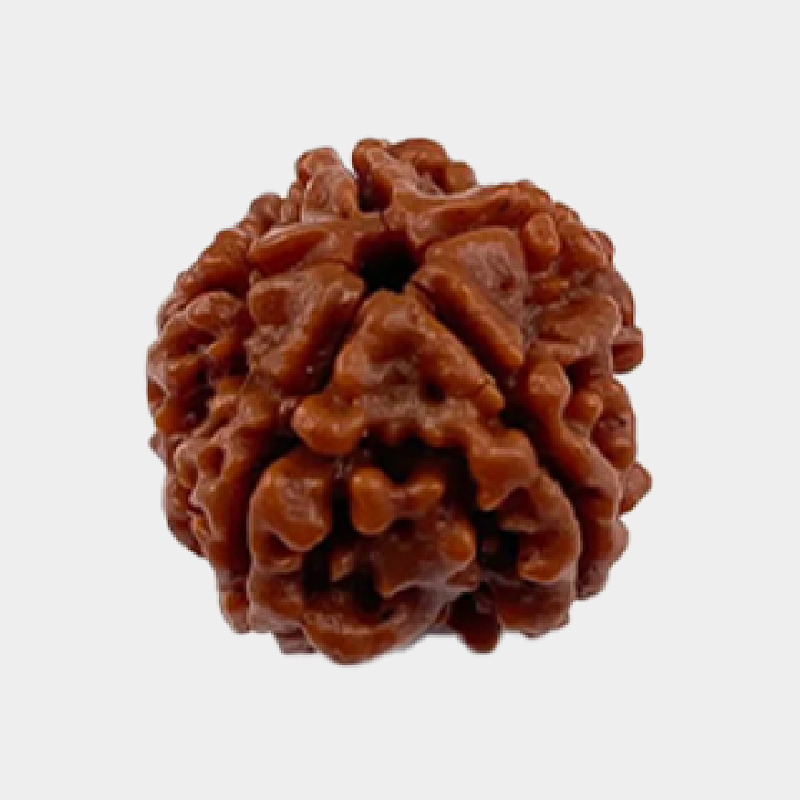 3 Mukhi