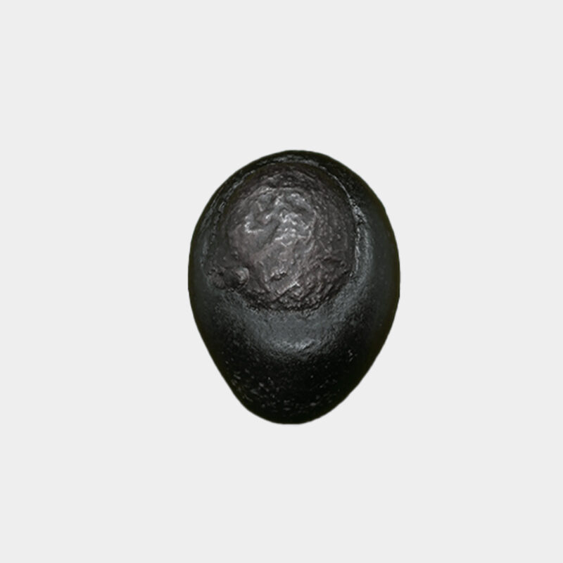 Buddha Shaligram