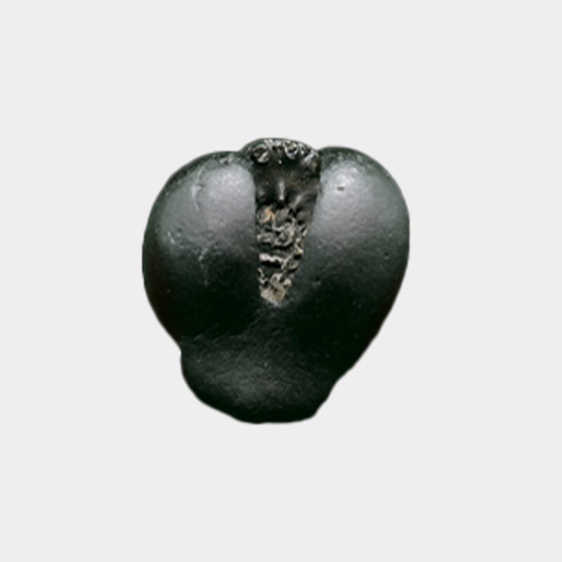 Narasimha Shaligram