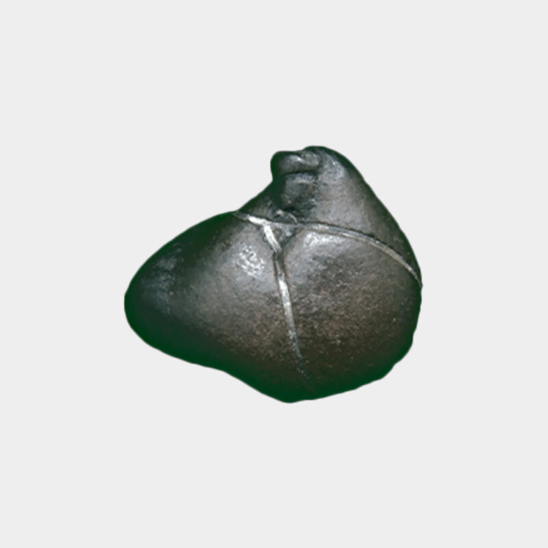 Parashurama Shaligram